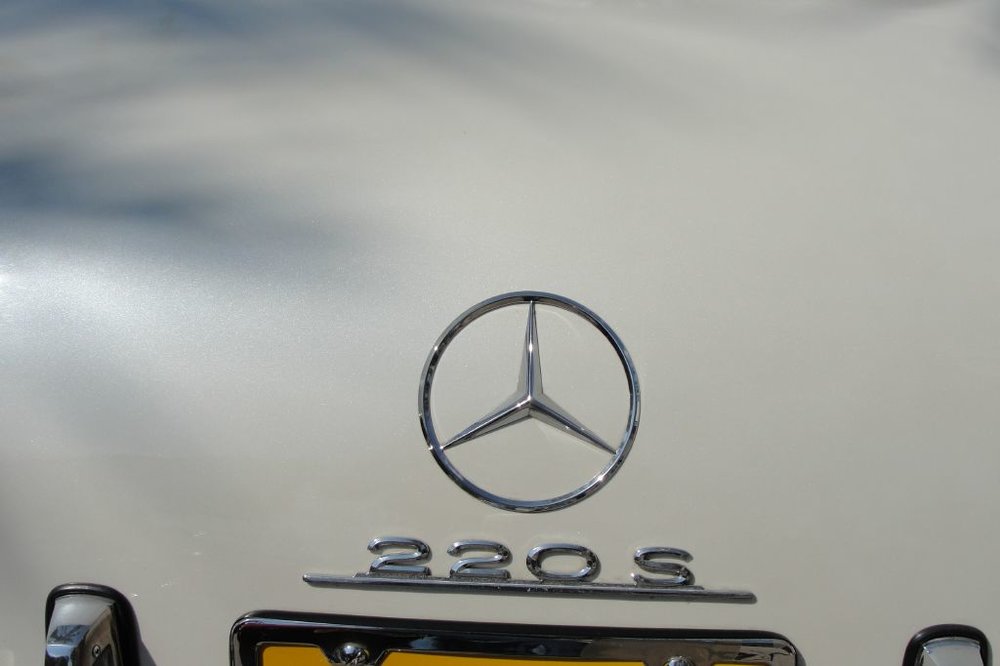 resized_DSC03729.jpg