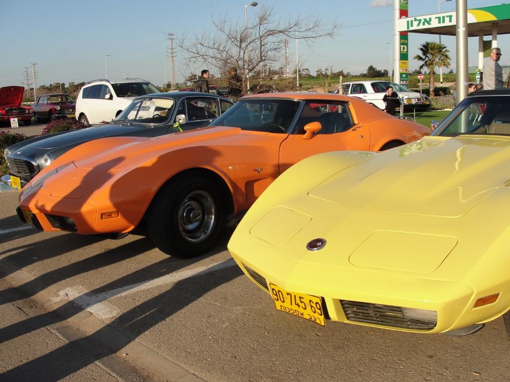 resized_DSC06073.jpg