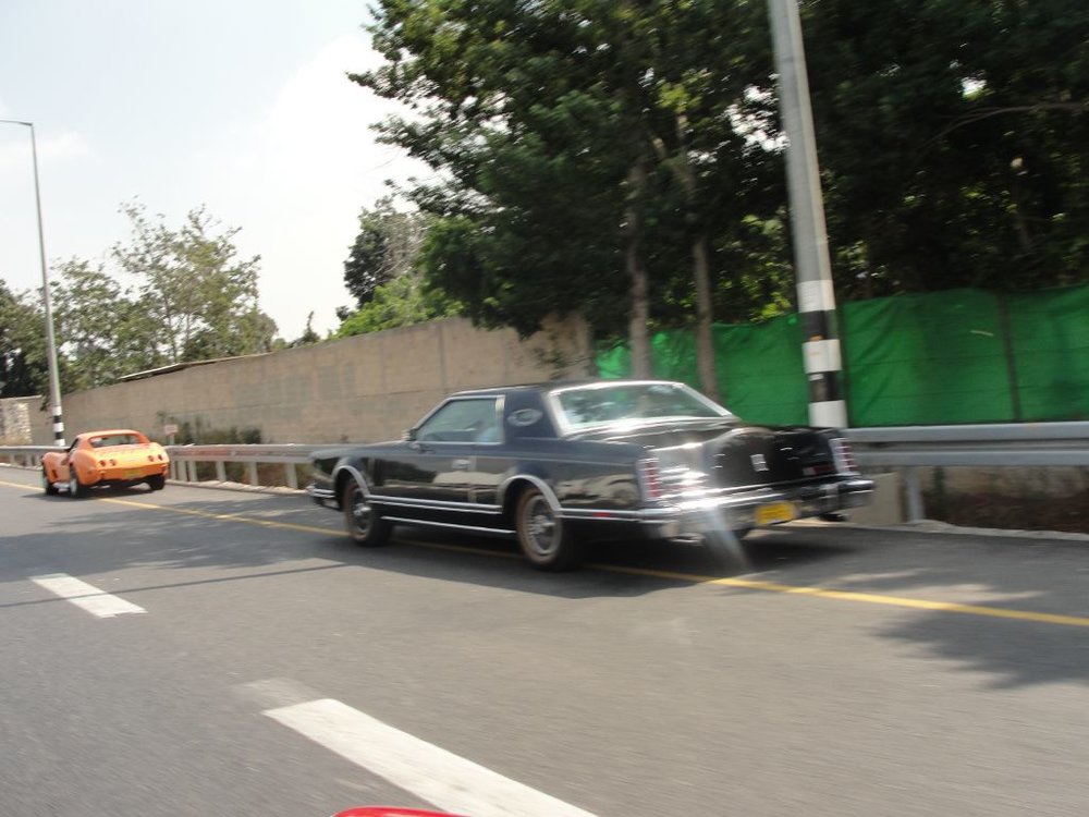 resized_DSC07881.jpg