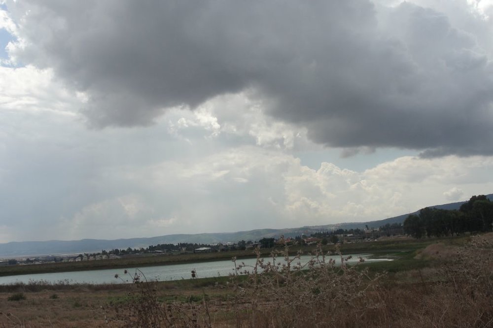 resized_DSC08138.jpg