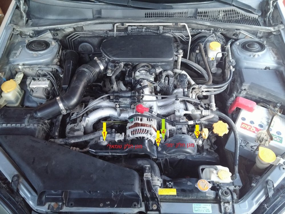 rsz_341.jpg