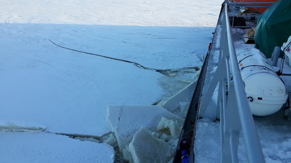 s20150210_101206.jpg
