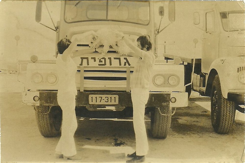 scan0030.jpg