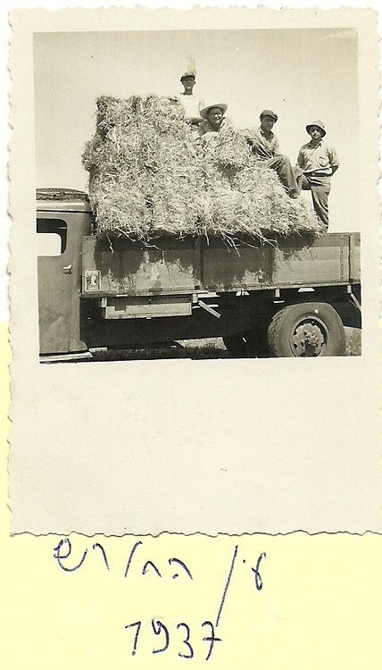scan0041.jpg