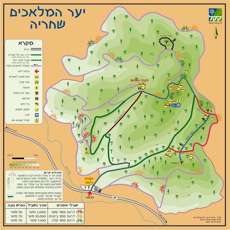 shahriyamap.jpg