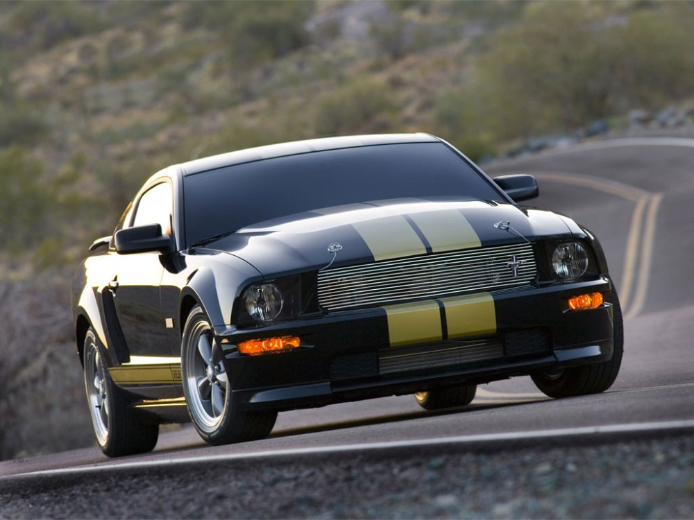 shelbygth06_01.jpg