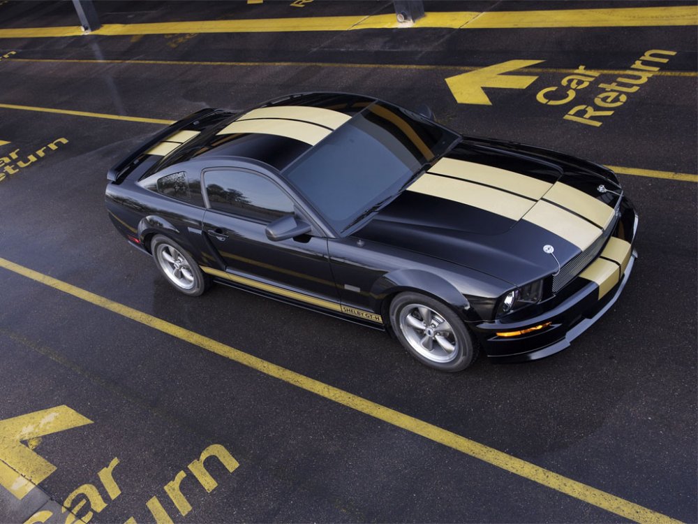 shelbygth06_03.jpg