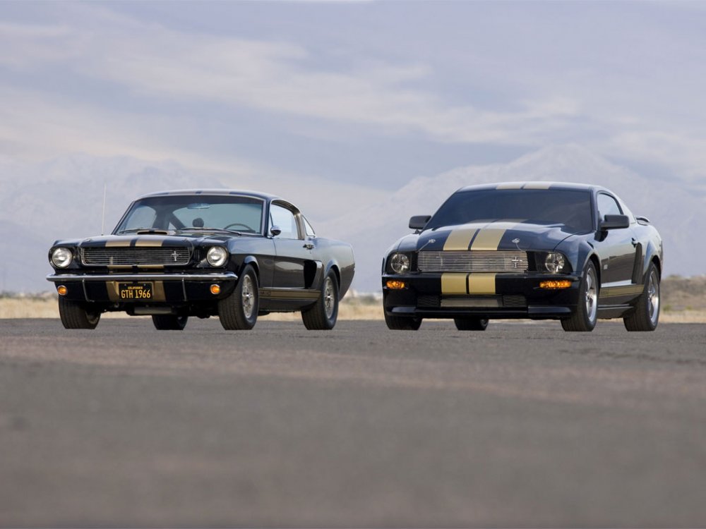 shelbygth06_04.jpg