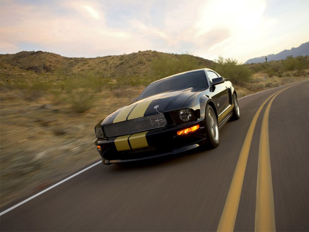 shelbygth06_06.jpg