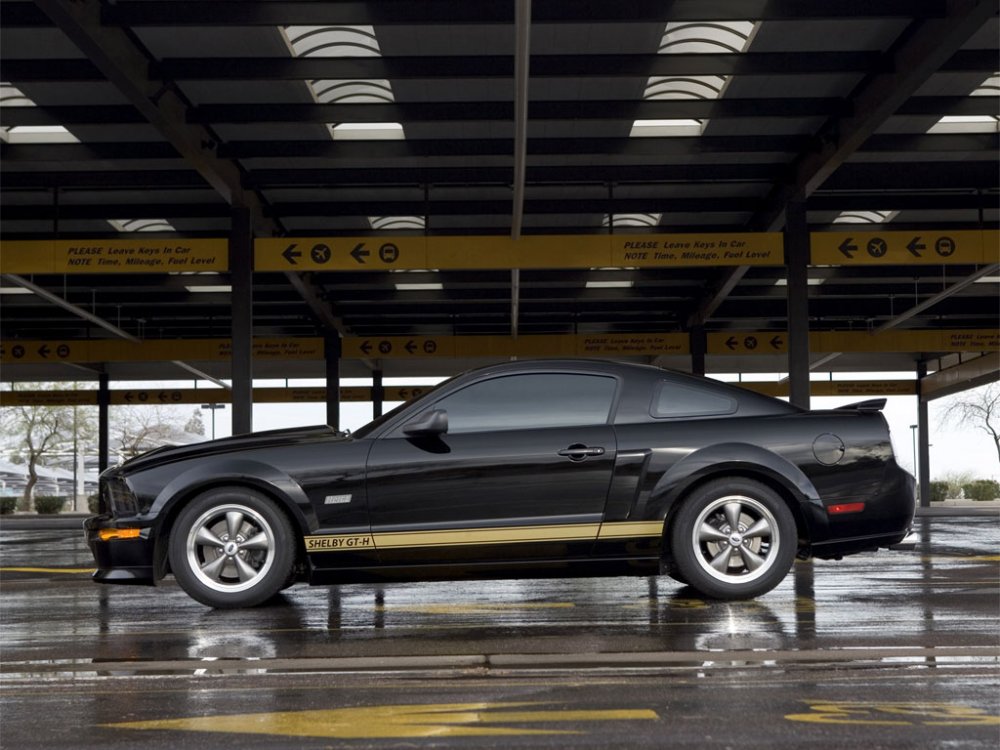 shelbygth06_07.jpg