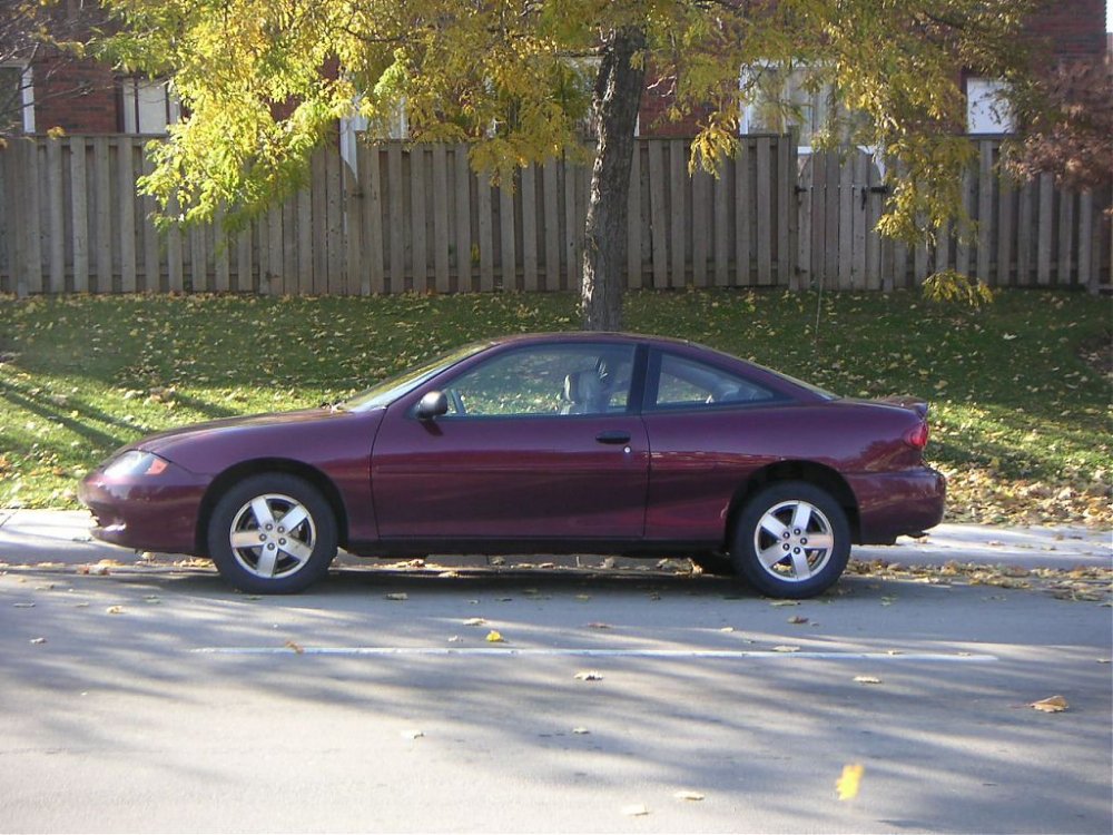 side_pic_1.jpg