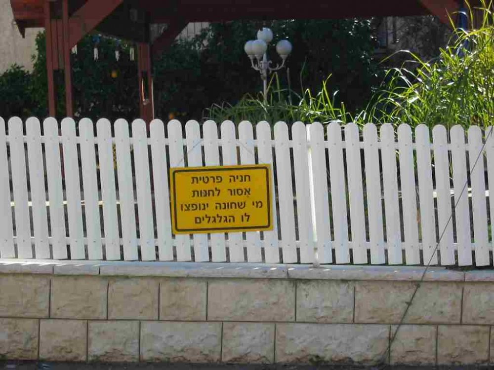 sign-dalia.jpg