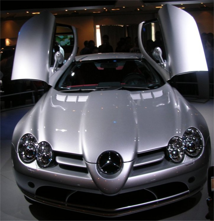 slr2.jpg