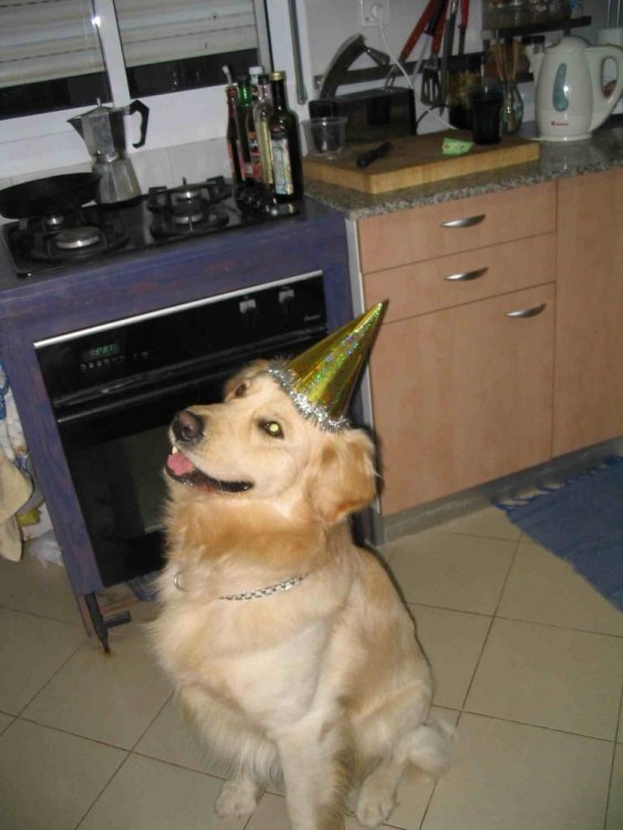 smith.jpg