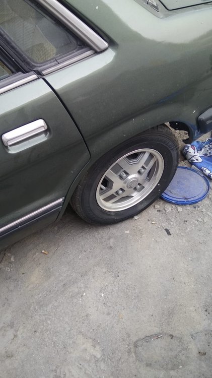 subi2.jpg