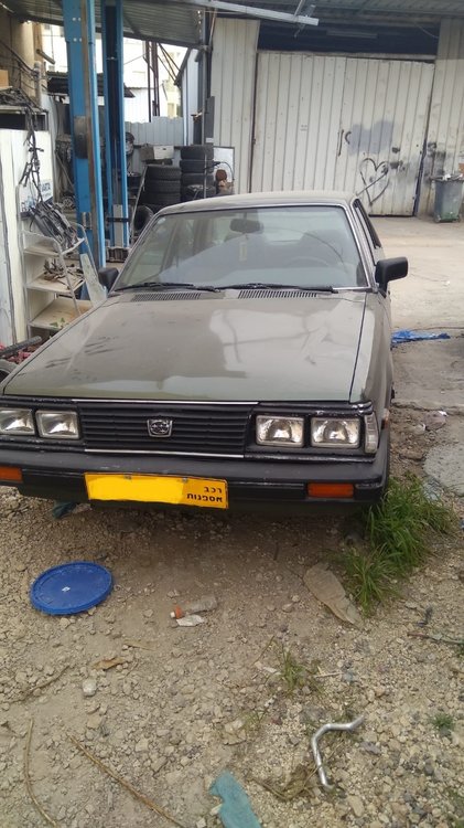subi3.jpg