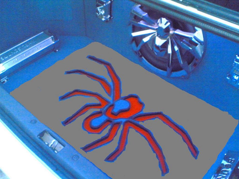 tarantula2.JPG
