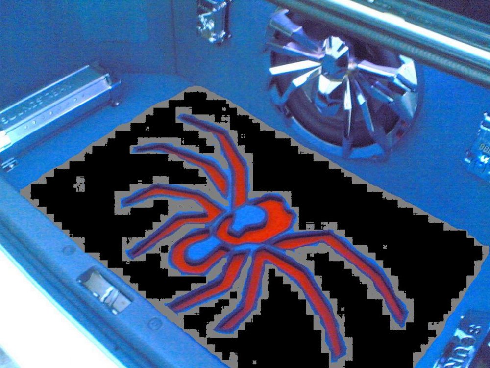 tarantula3.JPG