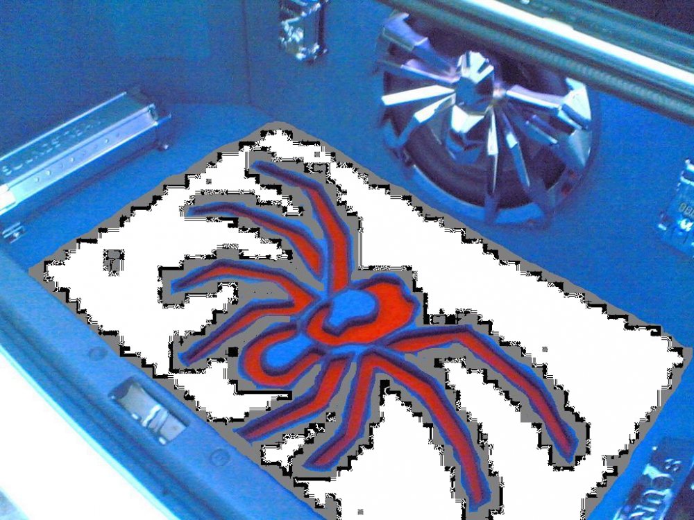 tarantula4.JPG