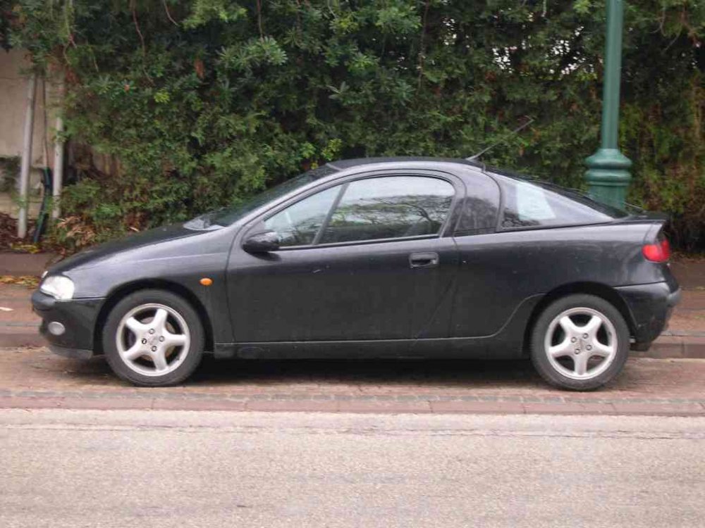 tigra1.JPG