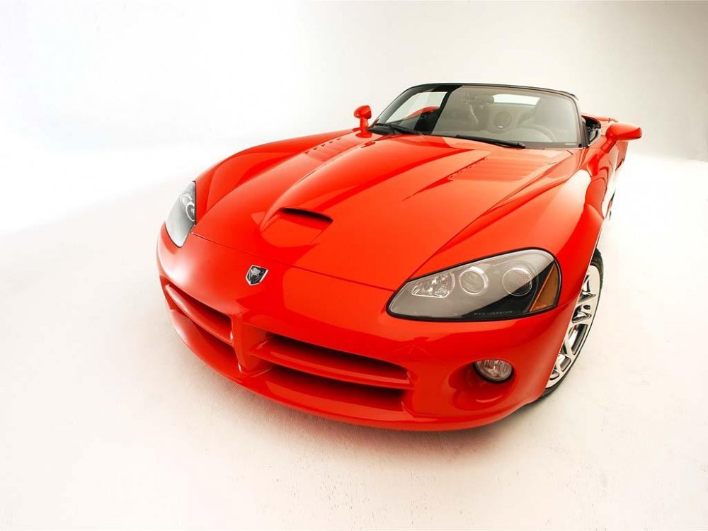 viper.JPG