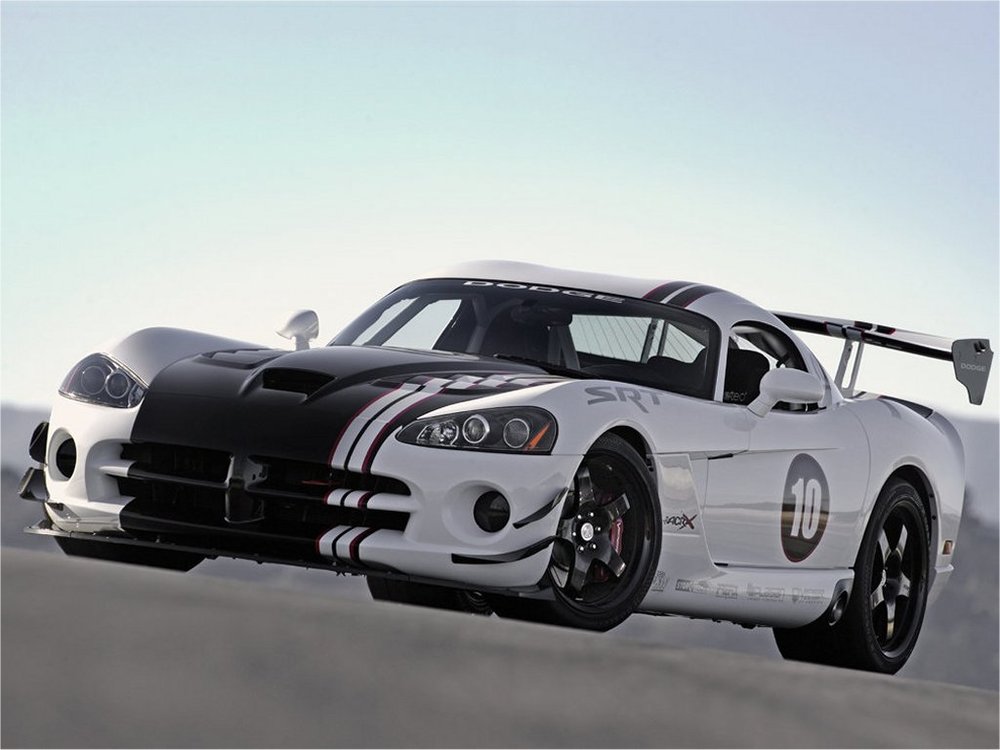 viper0.jpg