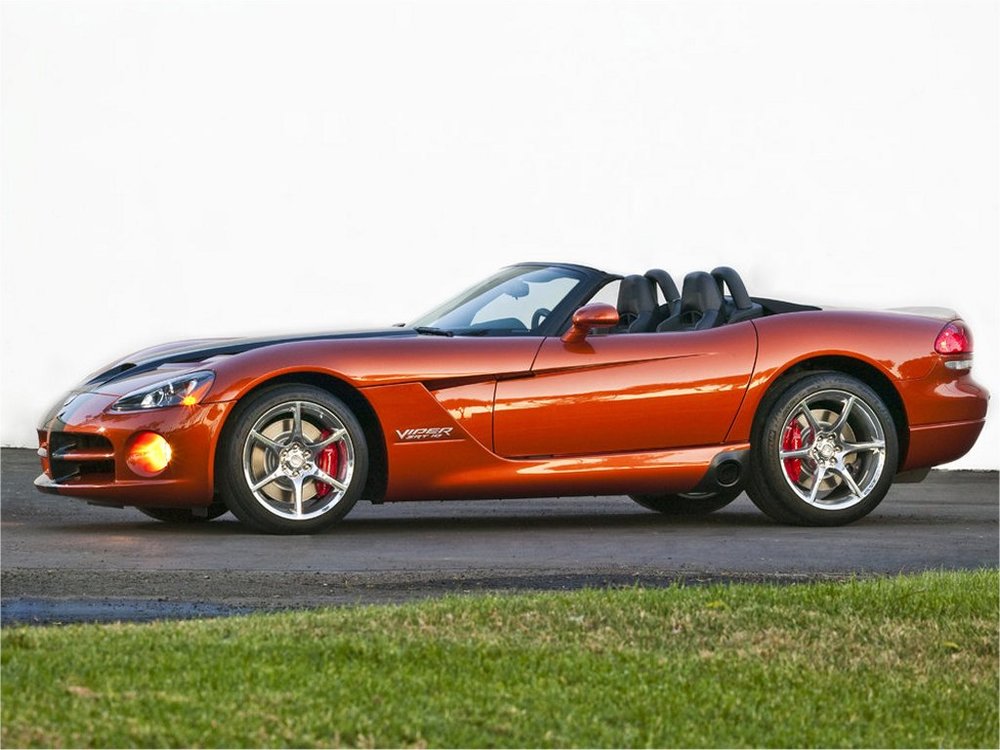 viper2.jpg