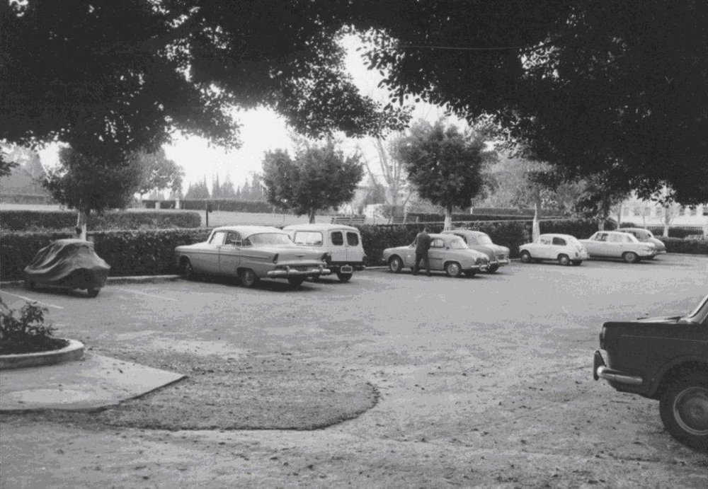 weizmann1960.jpg