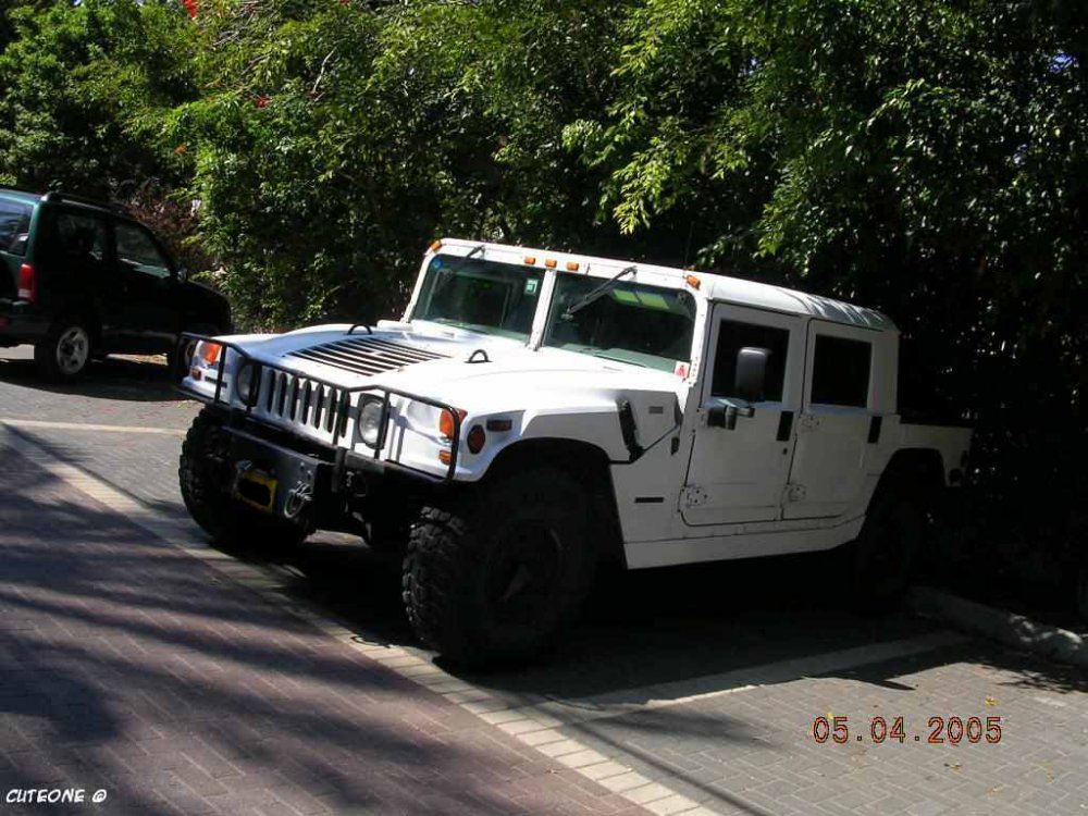 whitehummer.jpg