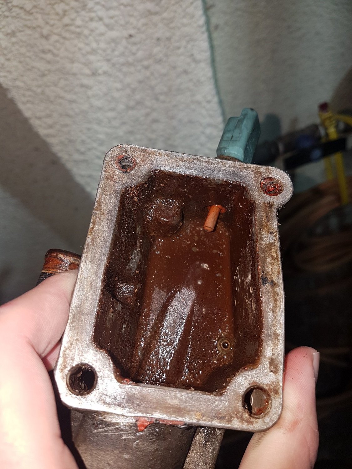 20191210_145203.thumb.jpg.e1826c8079210de3aee19d639a79ddd1.jpg