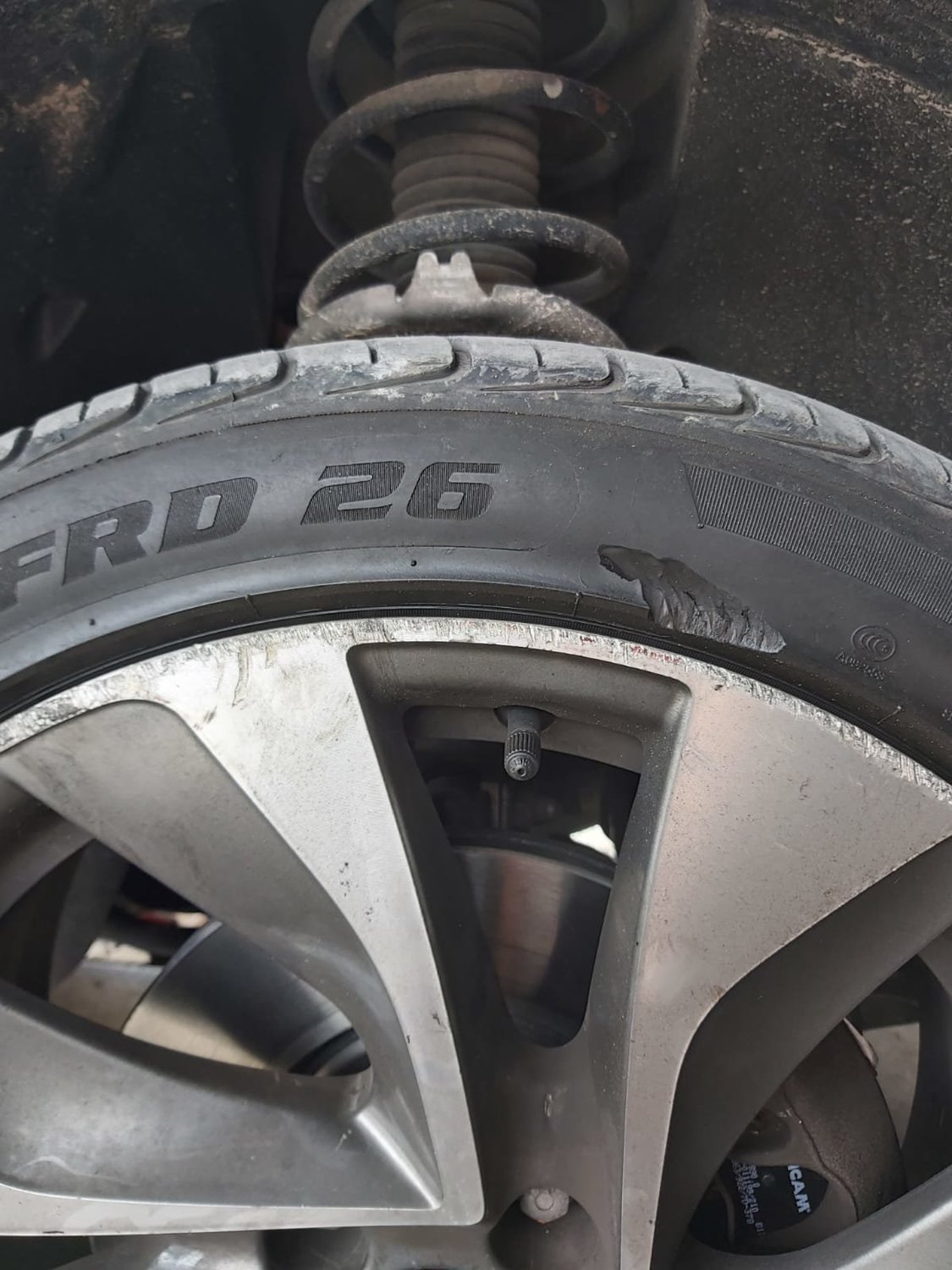 69d9bbbd-82ef-4fe1-8c56-baad0df7cf13.thumb.jpg.a282f8041ee1d883fb69ec28d2f834b4.jpg