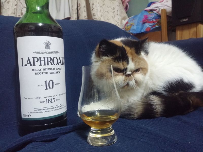 20190228_221749.jpg