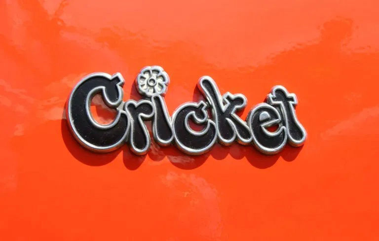 plymouth_cricket_emblem_71.jpg.03fa9e762cef65feaf9412437127e431.jpg