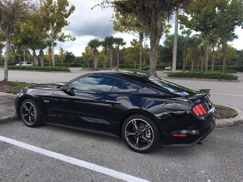 mustang 2.jpg