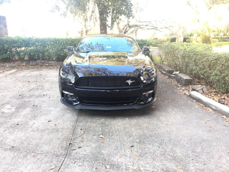 mustang 5.jpg