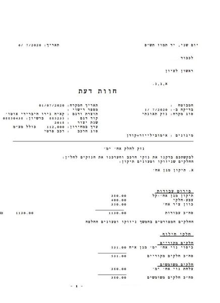 דוח שמאות 1.JPG
