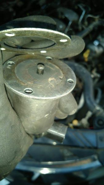 IMG-20190706-WA0036.jpeg