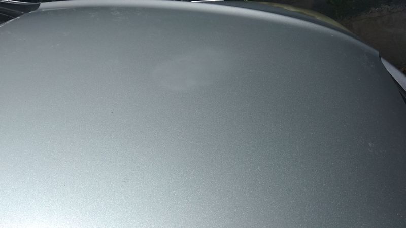 IMG_20200719_120150.jpg