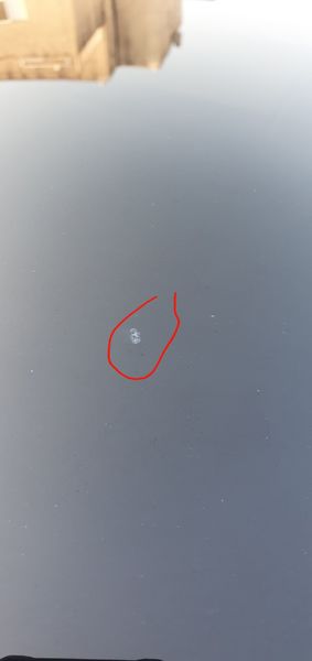 20200803_184908.jpg