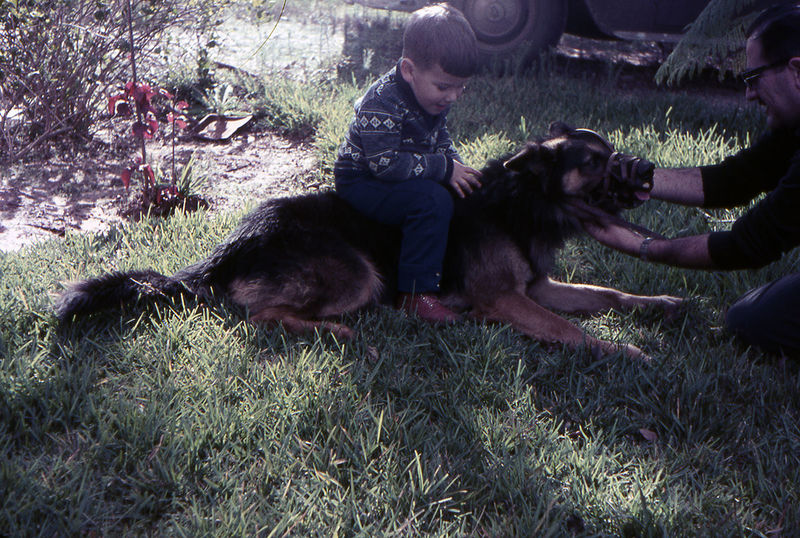 img452.thumb.jpg.f2022dd7197a9c966c013f712f94e414.jpg