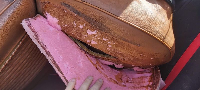 1.thumb.jpg.880c3bb1525f1953303ca9a0a15bd584.jpg