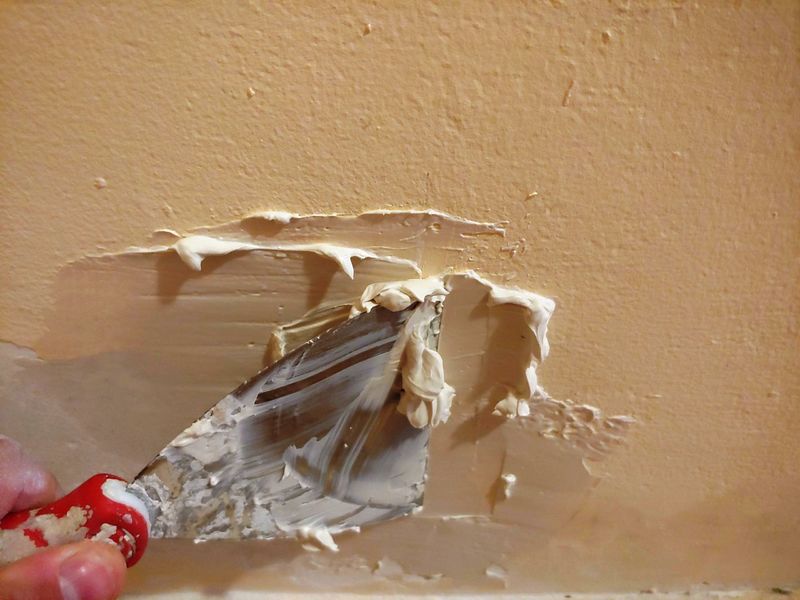 10.thumb.jpg.f404b3e9a13ee5f6a9c9562e9dd955ec.jpg