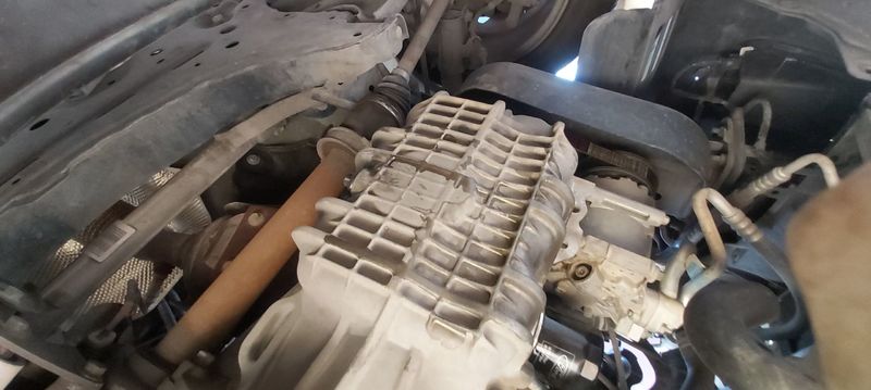 20201002_170446.jpg