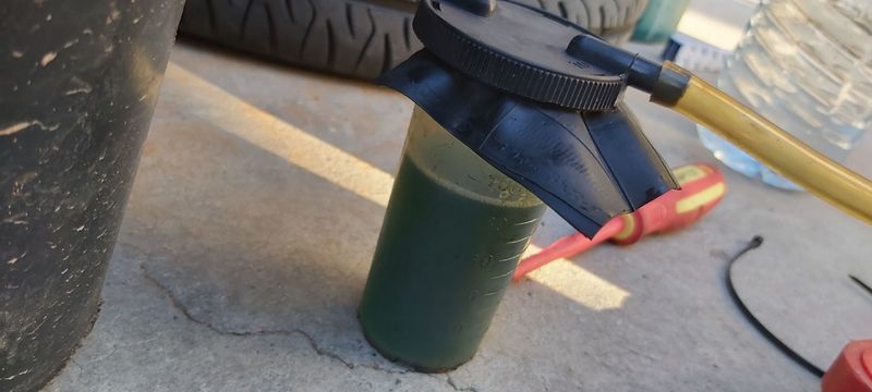 20201002_173152.jpg