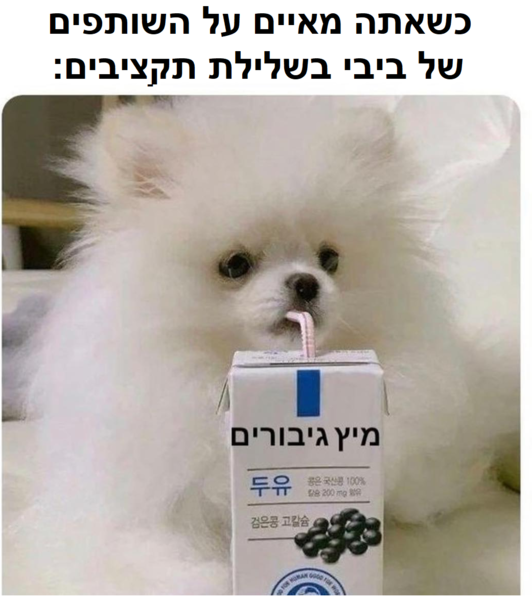 image.thumb.png.3001d8df6ecaa99cab4f714955623d26.png