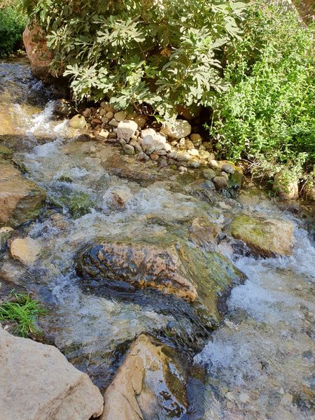 20191013_095739.jpg