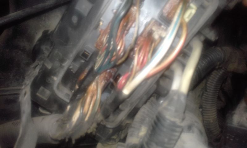 20201031_212048.jpg