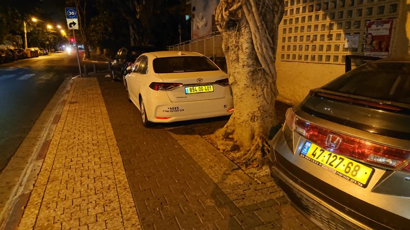 חניה מול העץ.JPG