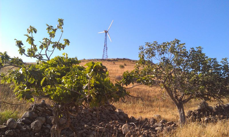 IMAG0472.jpg