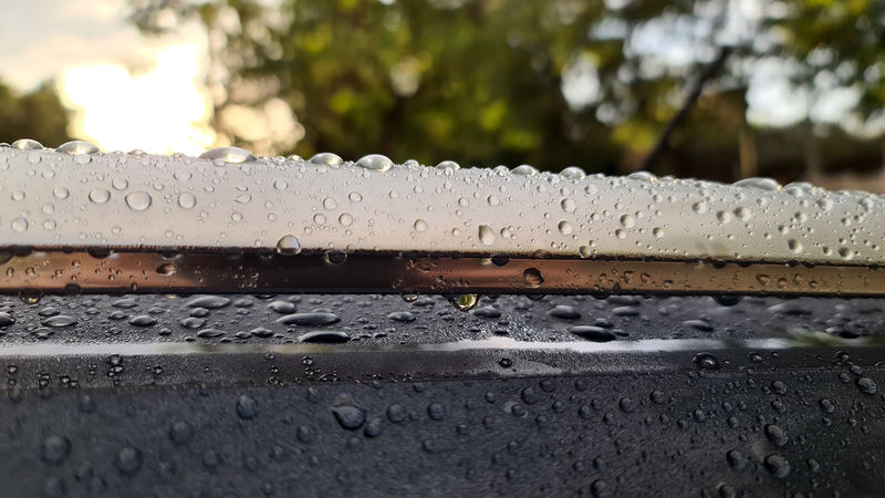 20201104_063640.thumb.jpg.2153d9fa8e44cc895237d6f6b51075e1.jpg